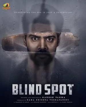 Blind Spot 2025 Hindi Dual Audio WEB-DL 720p – 480p – 1080p