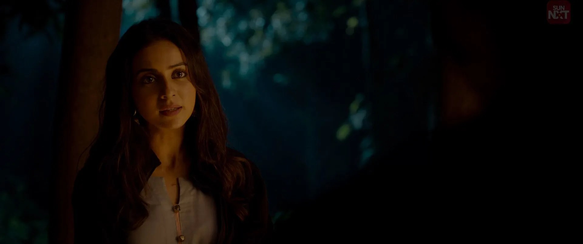 Ayalaan 2024 Hindi Dual Audio WEB-DL 720p – 480p – 1080p