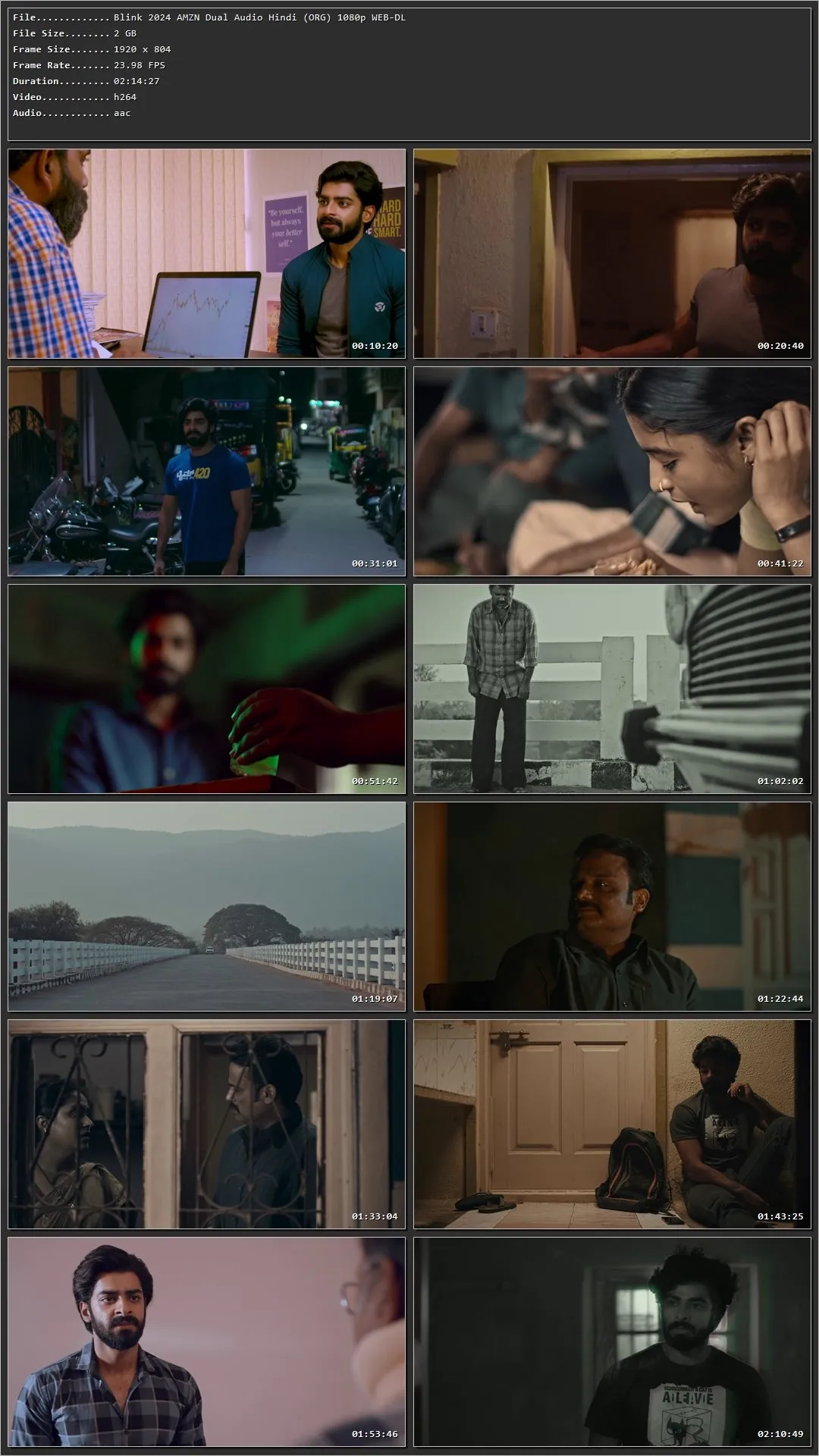 Blink Nat Geo 2024 Hindi Dual Audio WEB-DL 1080pp – 720p – 480p