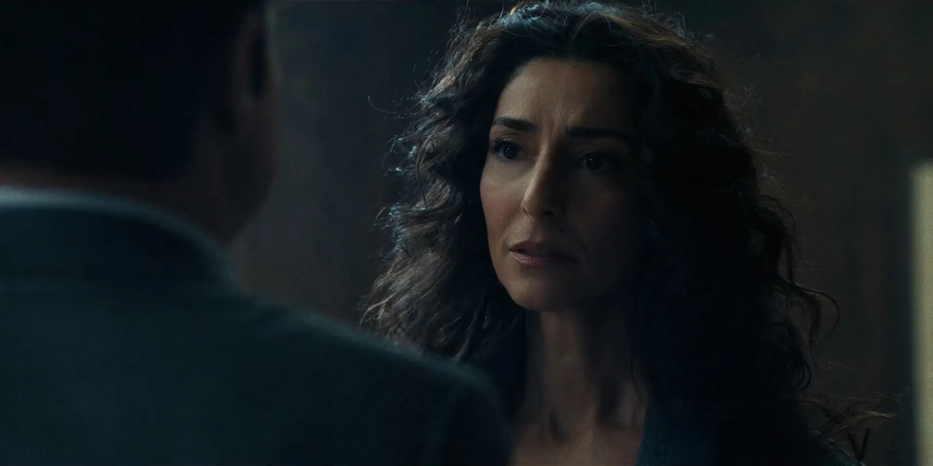 Mayor of Kingstown Season 4 2025 Hindi Dual Audio WEB-DL 720p – 480p – 1080p [ALL EPISODE]