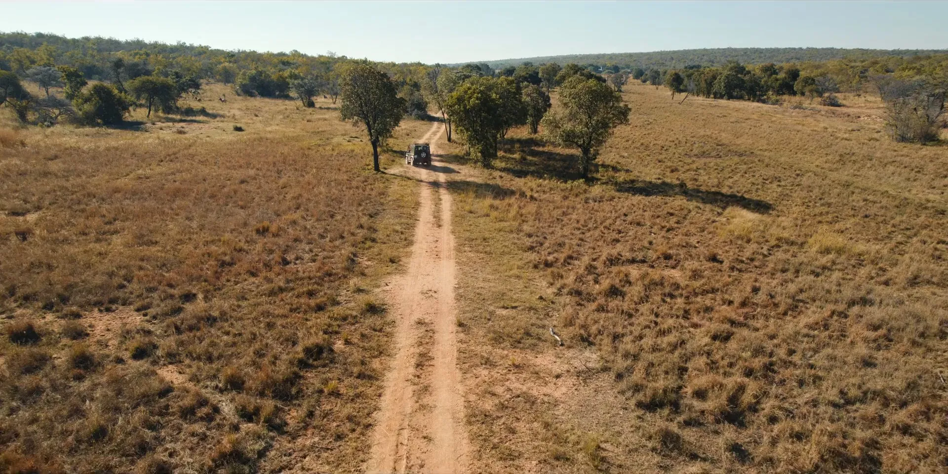 Pangolin: Kulu’s Journey 2025 Hindi Dual Audio WEB-DL 720p – 480p – 1080p