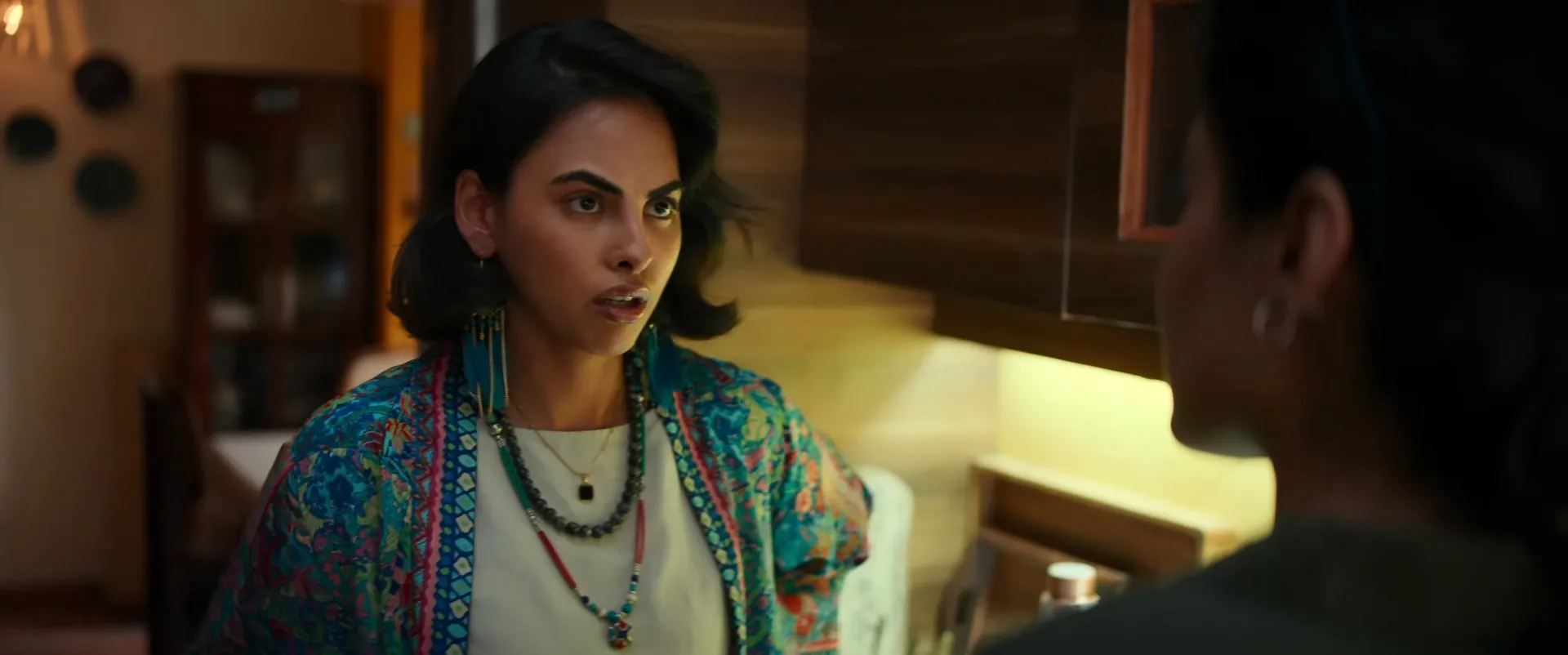 The Great Shamsuddin Family 2025 Hindi Audio WEB-DL 720p – 480p – 1080p