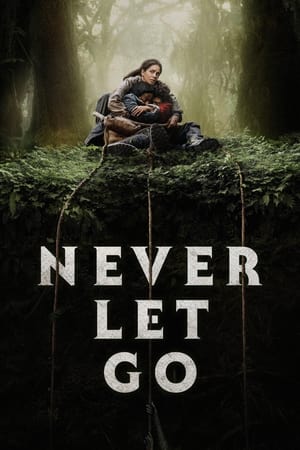 Let Go (2024) Hindi Dual Audio HDRip 1080p – 720p – 480p