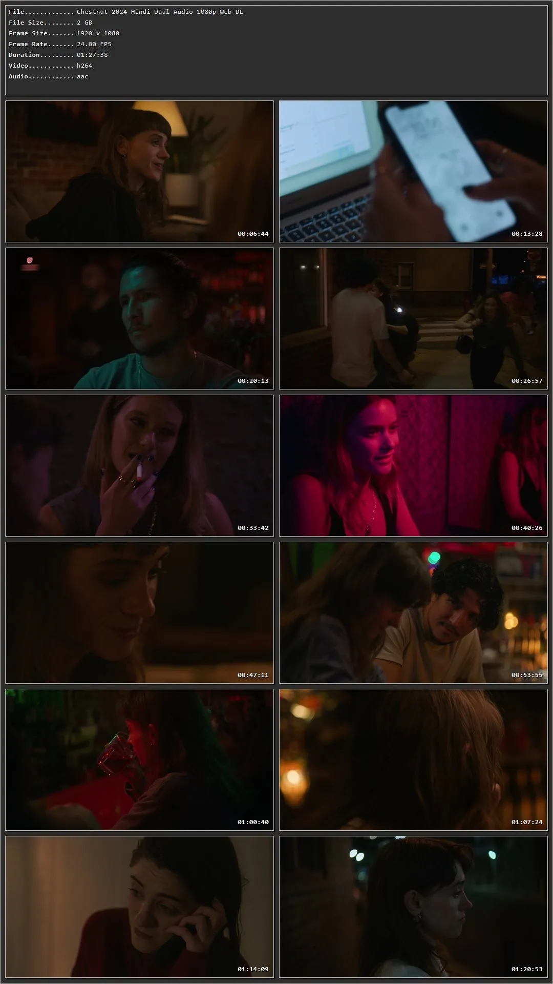 Chestnut 2024 Hindi Dual Audio HDRip 1080p – 720p – 480p