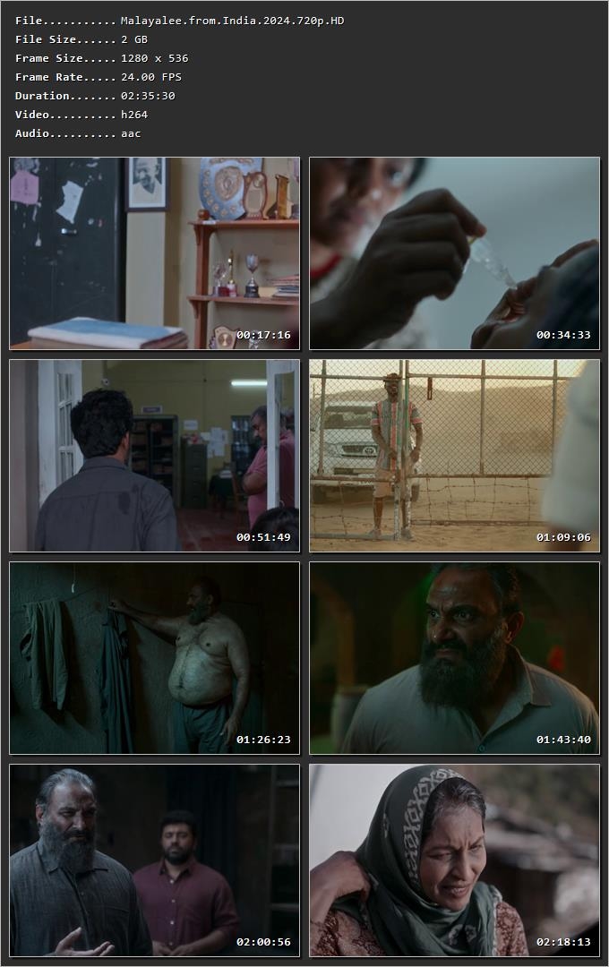 Malayalee from India (2024) [Hindi + Malayalam] HDRip 720p – 480p – 1080p