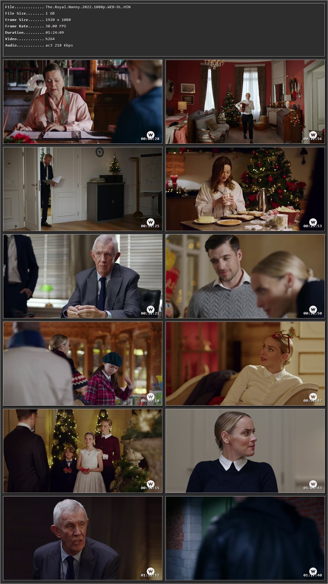 The Royal Nanny (2022) Hindi Dual Audio HDRip 1080p – 720p – 480p