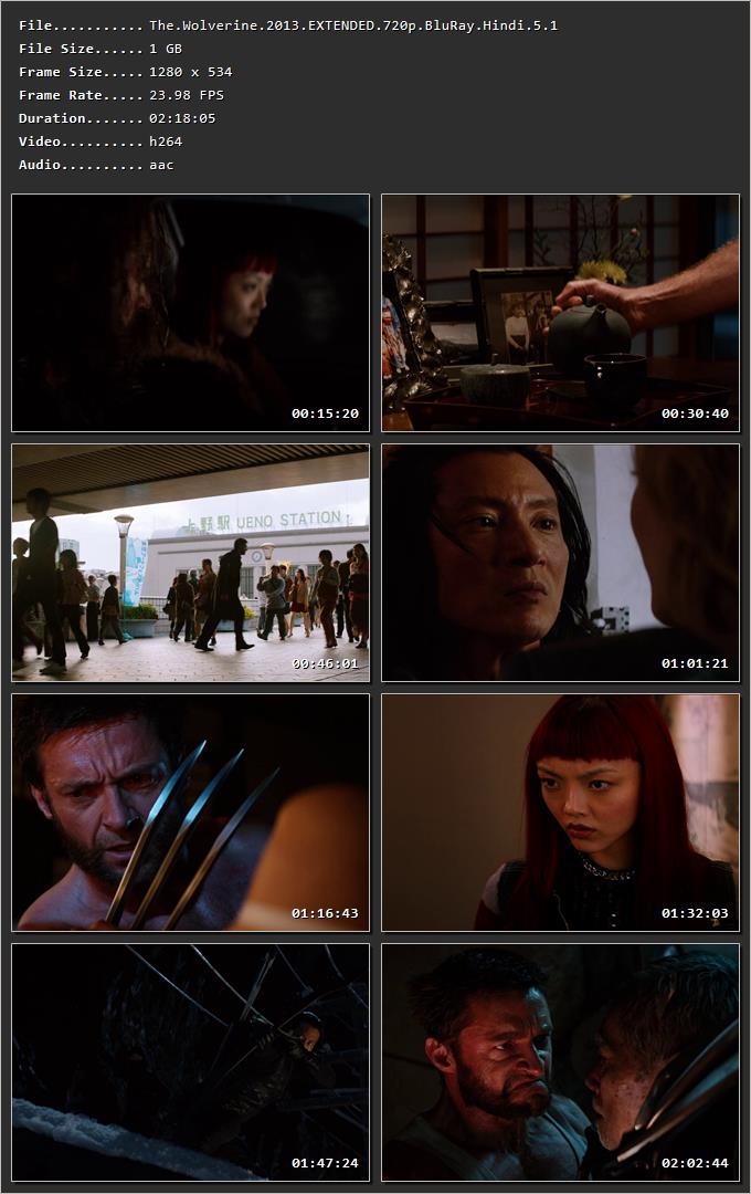 The Wolverine (2013) Hindi Dual Audio HDRip 1080p – 720p – 480p
