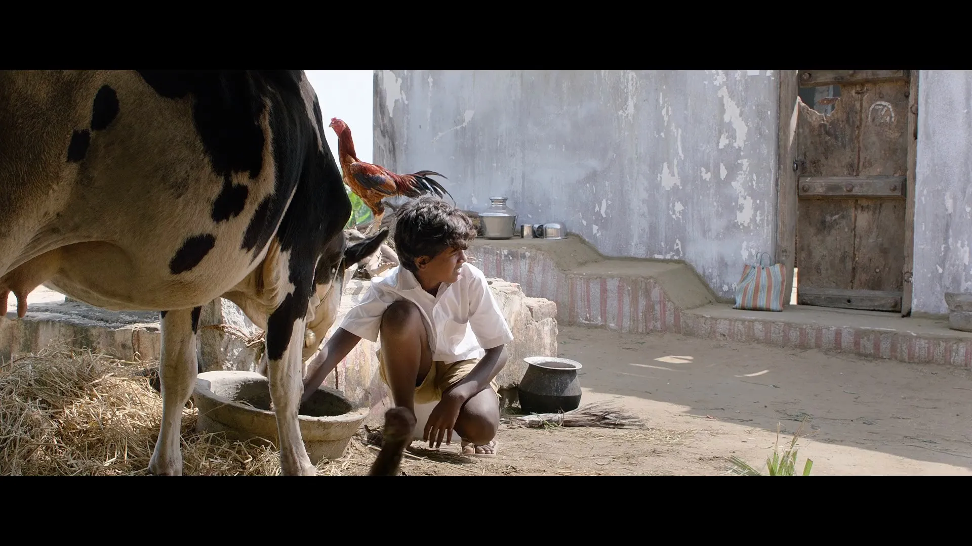 Vaazhai (2024) (Hindi – Telugu) HDRip 720p – 480p – 1080p