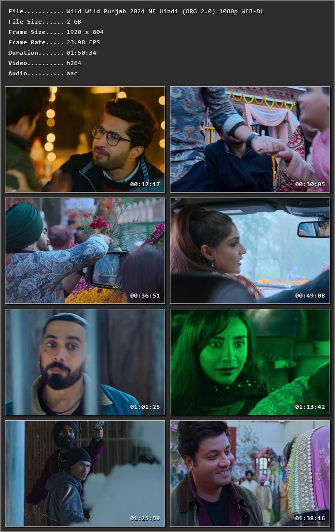 Wild Wild Punjab 2024 Hindi (ORG 5.1) HDRip 1080p – 720p – 480p
