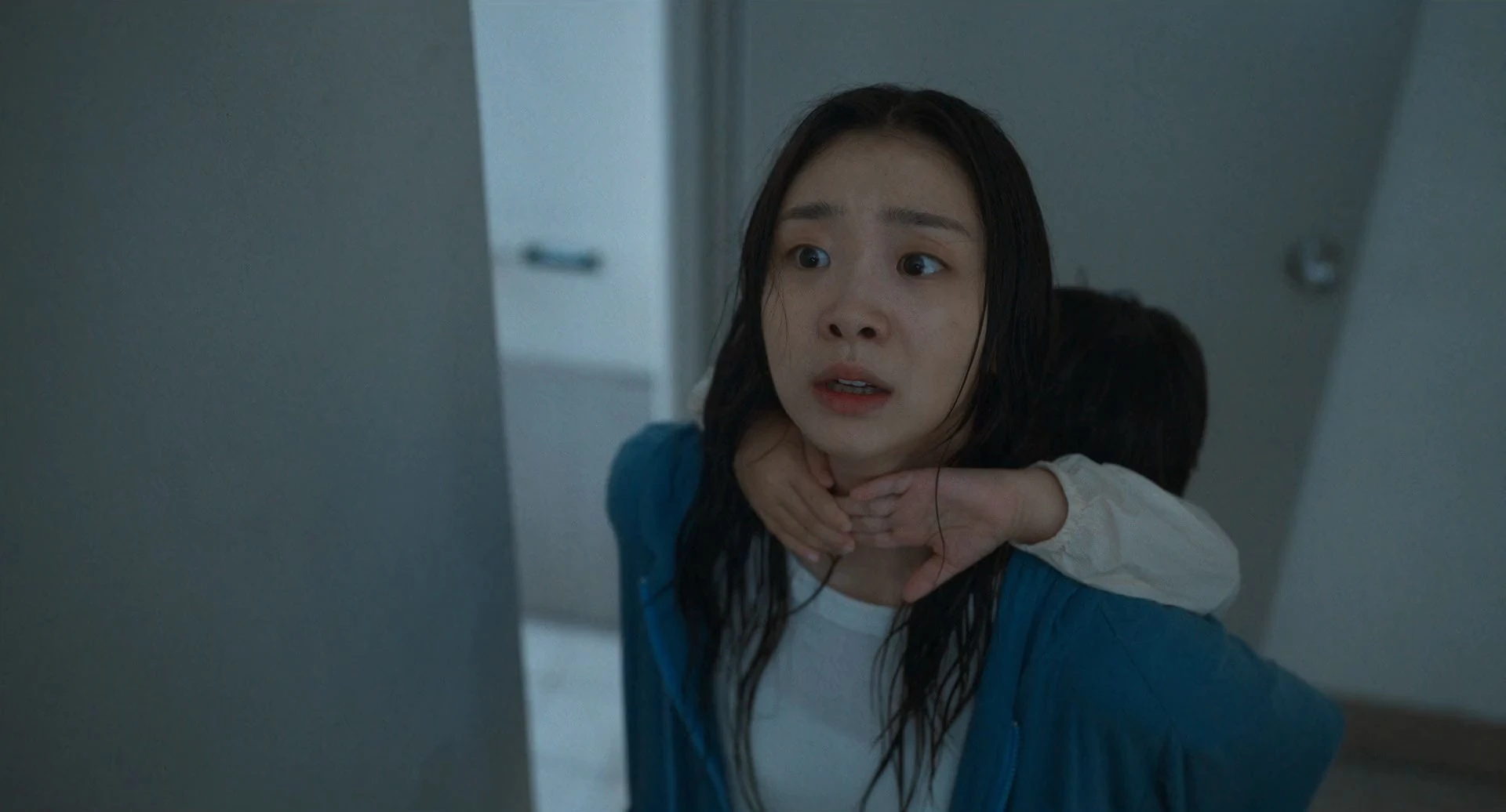 The Great Flood 2025 Hindi Dual Audio WEB-DL 720p – 480p – 1080p